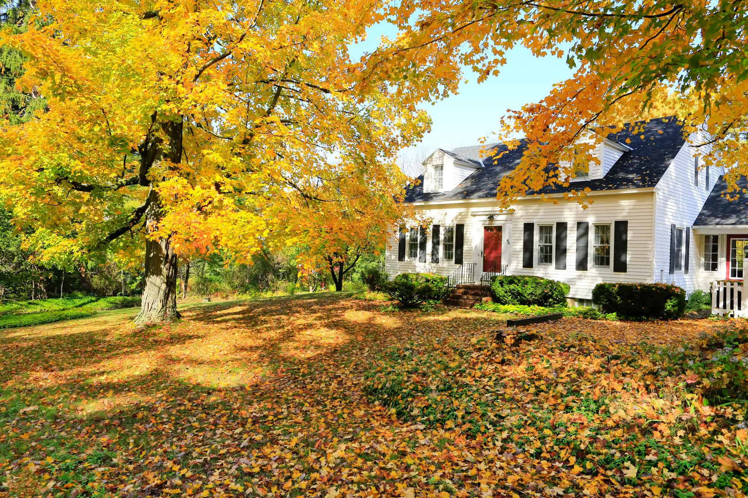 Fall & Winter Landscape Readiness: A Practical Guide