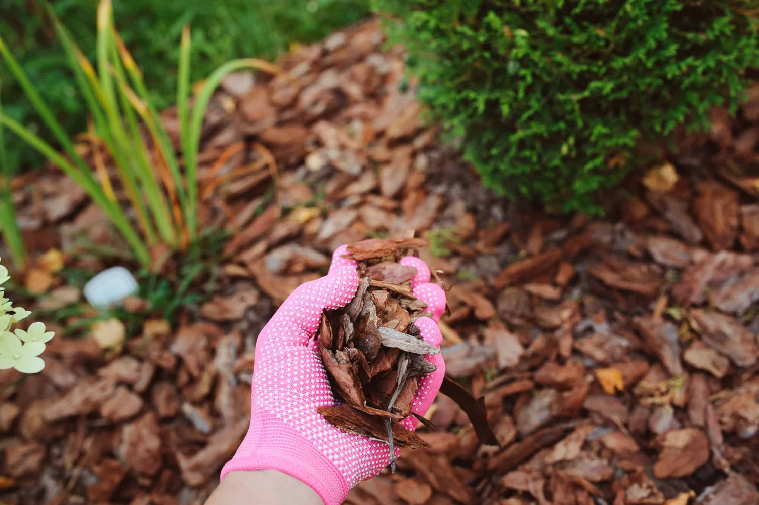 Top Mulching Strategies for Summer: Retain Moisture & Suppress Weeds