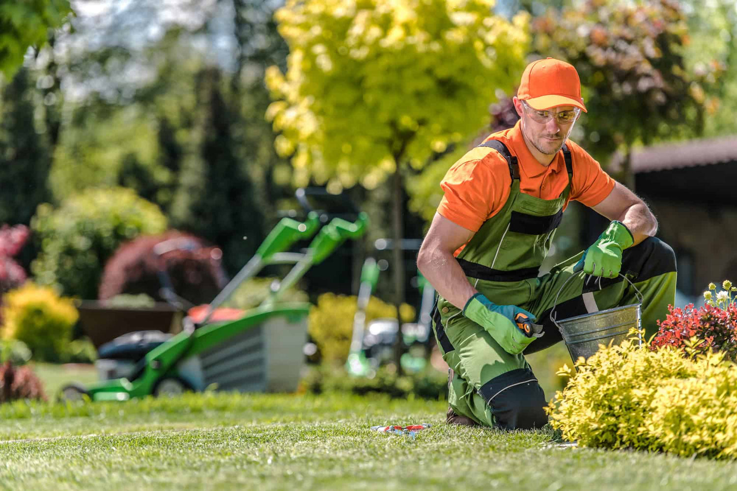 Preparing Your Wisconsin Lawn for Spring: Essential Steps and Supplies