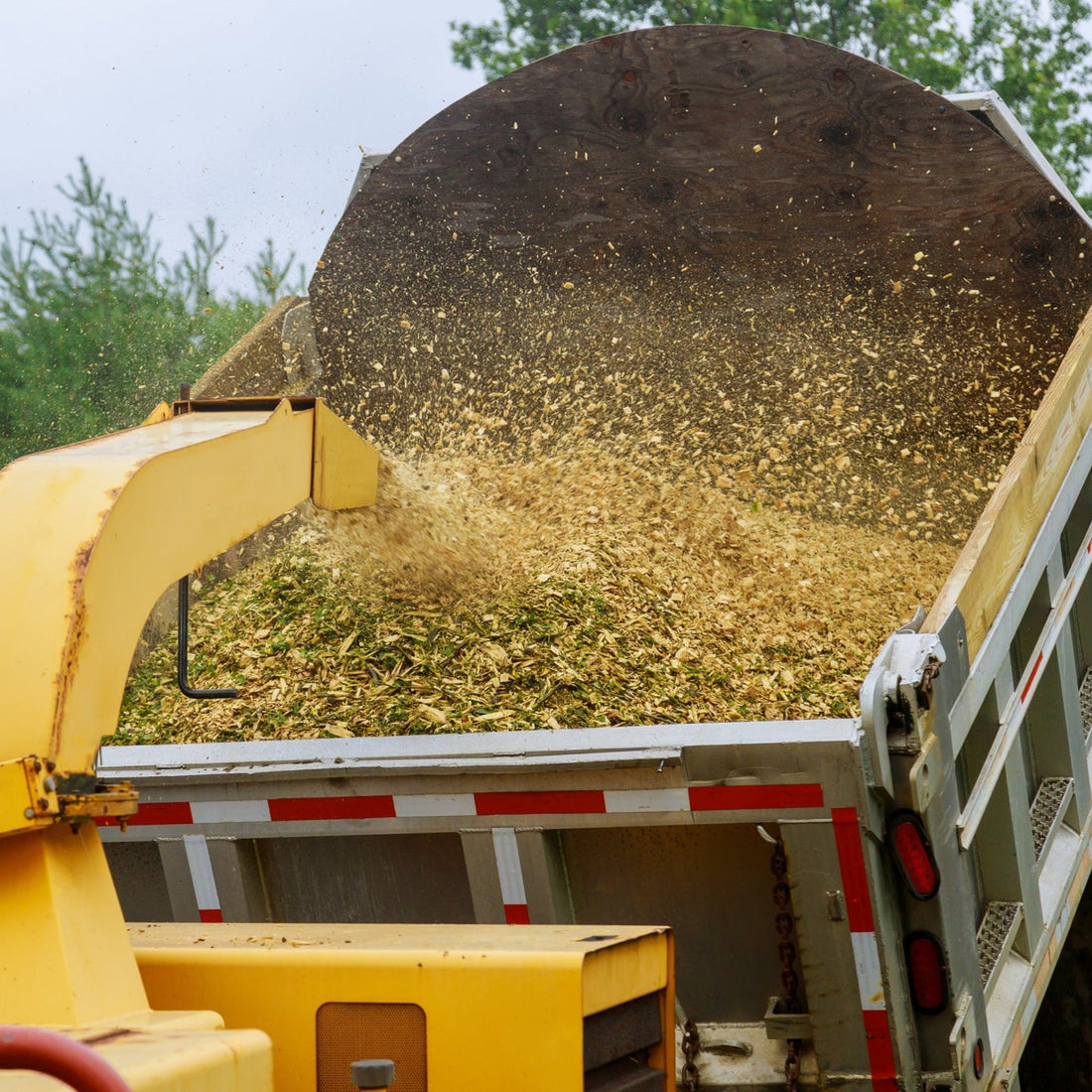 Wood Chips