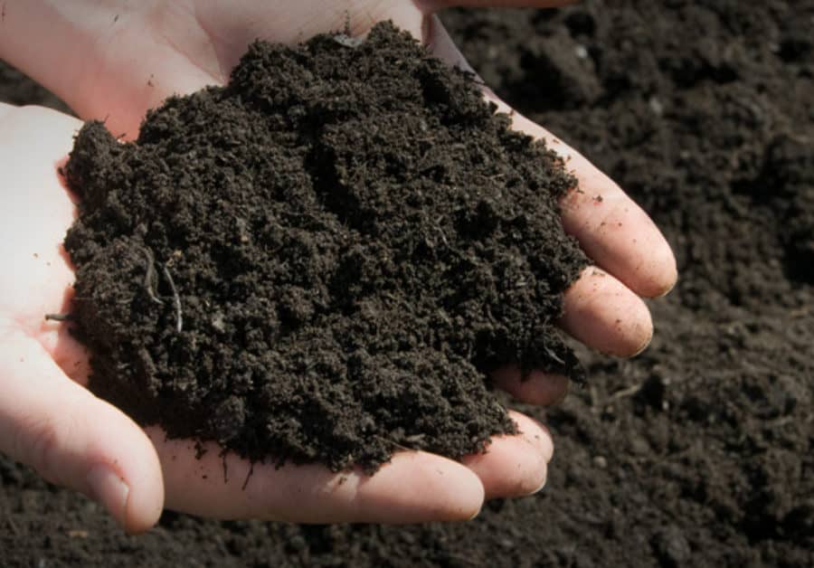 Soil